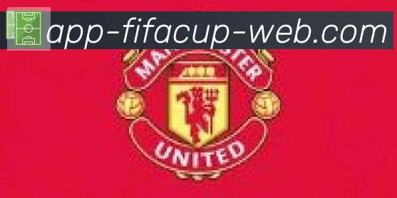 FIFA世界杯APP下载合作伙伴